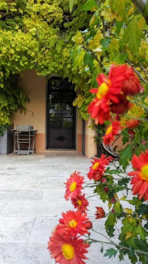 Chambres D'Hotes La Chrysalide Loriol-du-Comtat Bagian luar foto