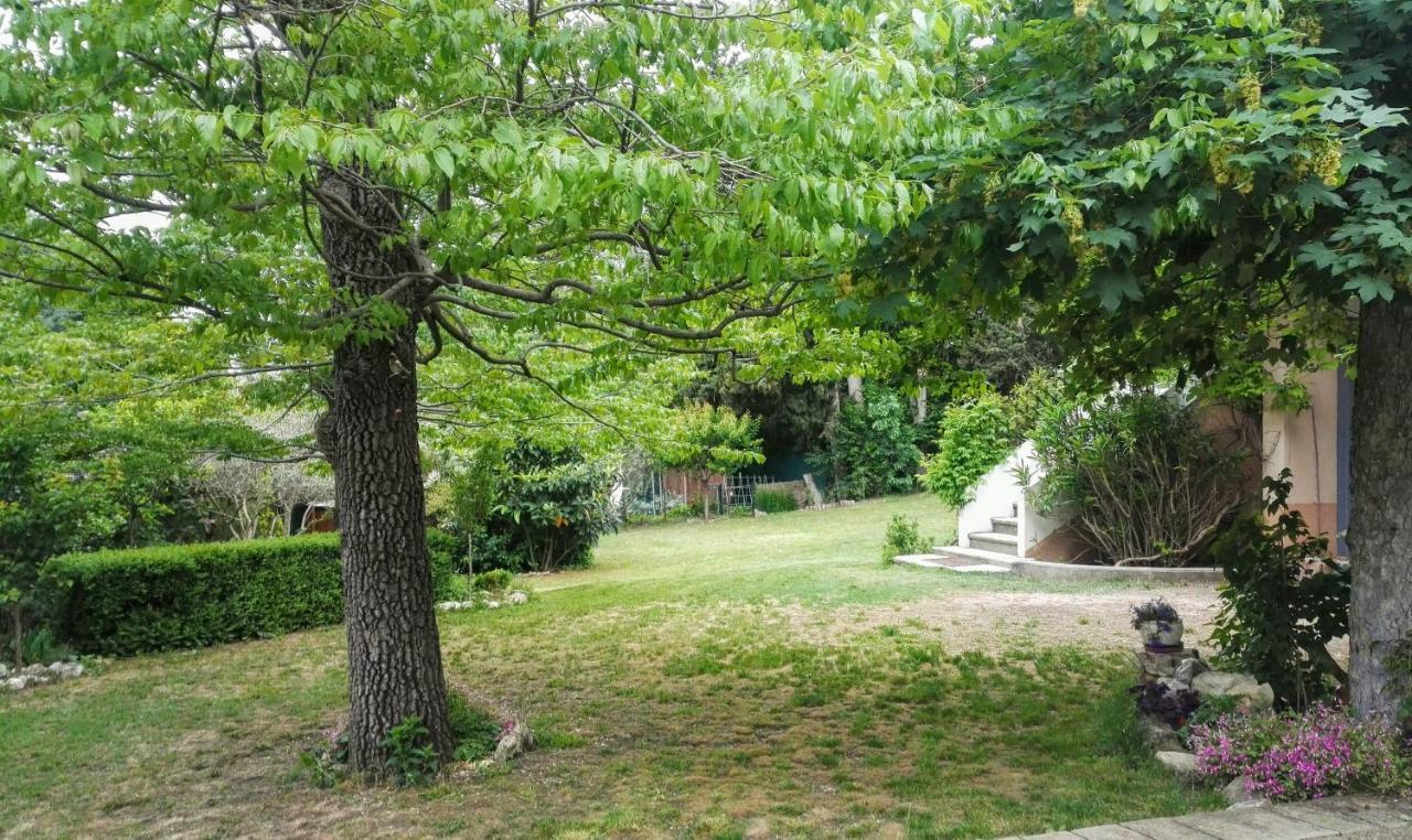 Chambres D'Hotes La Chrysalide Loriol-du-Comtat Bagian luar foto